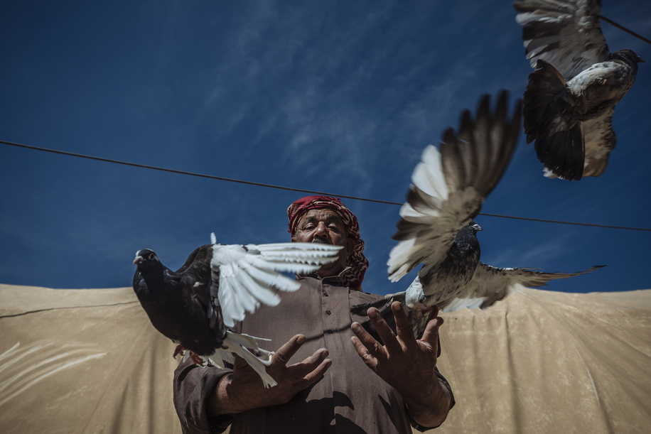 As heavily armed ISIL fighters poured into their village in 2014, Abu Jassim and his family had enough time to grab their identity cards, their pigeons and flee. 

The 49-year-old father of three had farmed the lands around Yathreb, a governorate 90km north of Baghdad, all his life. Nothing prepared him or his neighbours for a life removed from all that was familiar. The family had hoped their displacement would only be temporary, but days became weeks as they travelled from one place to the next until, three months later, they finally found sanctuary in Ahsty camp, Sulaimaniyah. 

And through all the hardships his family faced on the road, Abu Jassam managed to keep his birds alive, a comforting reminder of home before they took flight. 

âWhen we fled, I put my eight pigeons in a small cage and carried them with us throughout our displacement journey,â he recalls. âI couldnât leave them behind, I loved them too much.â

The camp located outside town is adequate. Itâs quiet, provides some basic amenities like modest schools for the children and has sufficient water, but the residents live in tents with little to do but relive the the trauma of their forced movement and the memories of the lives they left behind.

Despite having his beloved pigeons with him, camp life feels like a prison for a family used to living on a vast, open plain. But, Abu Jassim still prefers the safety here to returning to Yathreb where his house was razed and security remains an issue. 

âEven if we returned, I would have to start from scratch. I don't know when I will be able to rebuild my life, build a new house, buy a car, and get new livestock,â he says.

âThe most difficult part is the lack of job opportunities. The only work I get is from the municipality as a daily worker for only 2,000 Iraqi dinars per day (about USD 1.50), while a regular daily worker gets at least ten times this amount. This is very humiliating for me, but I accept it for the sake of my family. I need to feed my family.â 

He has managed to create a tiny coop outside the tent for his growing brood.

âMy pigeons have had squabs since then, and I now have over 40! I often just sit here in my tent and watch my birds through this little window,â he says.

âIt helps me relax. They remind me of everything I loved about my life in Yathreb: my farm, the fields, the livestock, having family and friends around me. I am so attached to my pigeons now that they are like a part of the family.