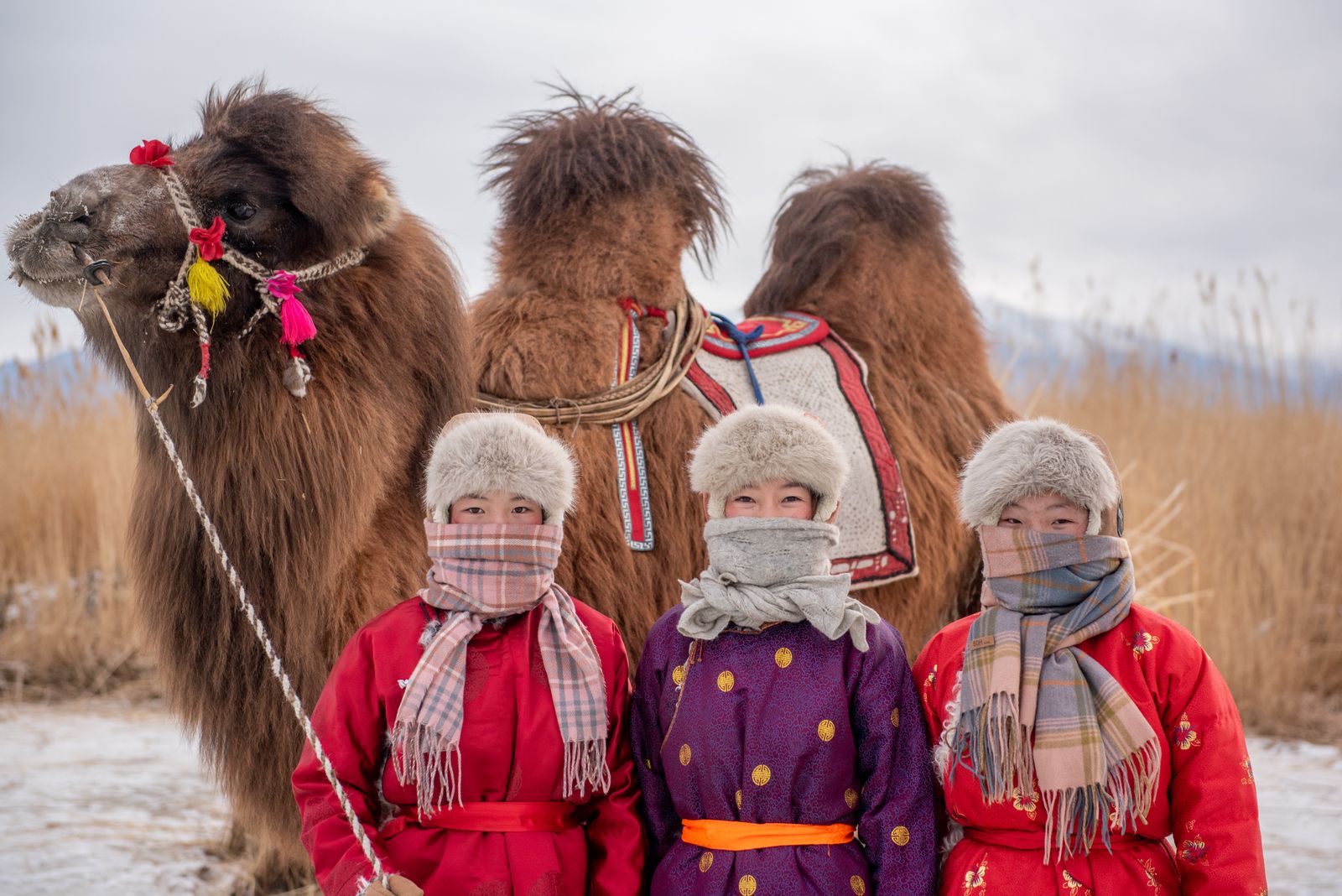 Climate Change and Displacement in Mongolia 