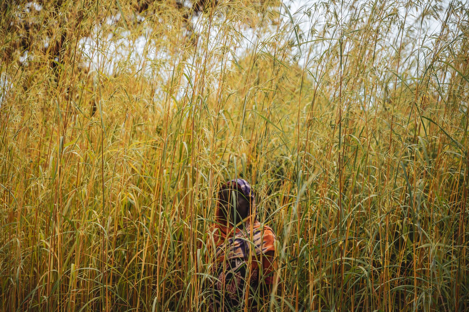 Peacebuilding in South Sudan
