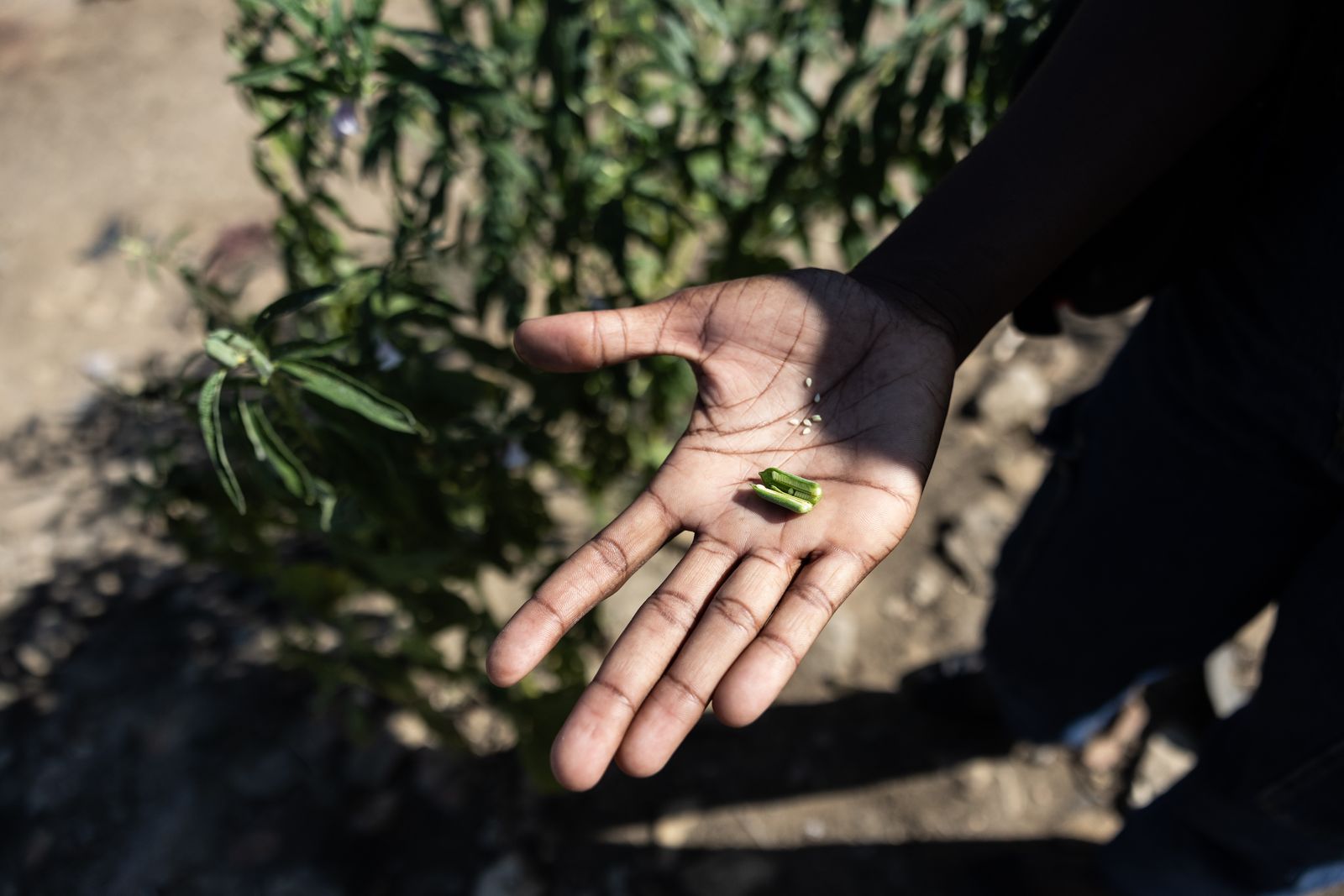 Advancing Hygiene Solutions in Ngunga Resettlement Centre, Mozambique