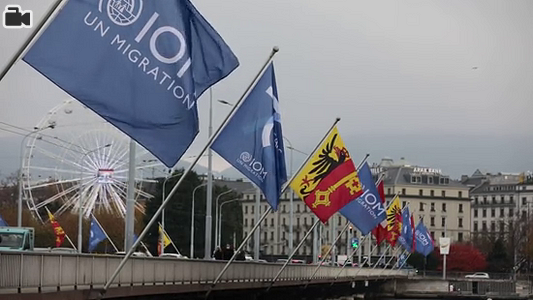 Video B-roll of the flags places on the bridge in Geneva, Switzerland.