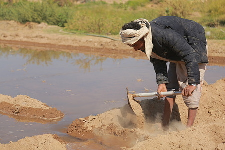 A farm in Maârib is irrigated using new irrigation canals rehabilitated by IOM in Maârib.